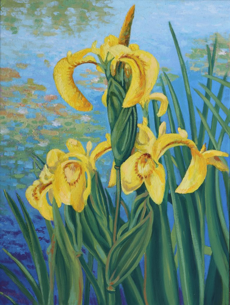 Yellow Iris at Lake Sacajawea oil painting image by Marie Wise
